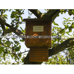 Summer house for bats - example of use